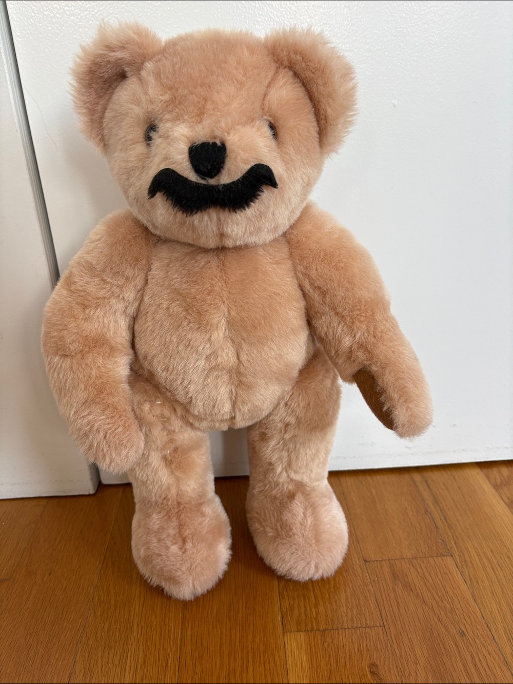 Cuddly Tan Plush Teddy Bear with Black Facial Accents - Brand Unknown